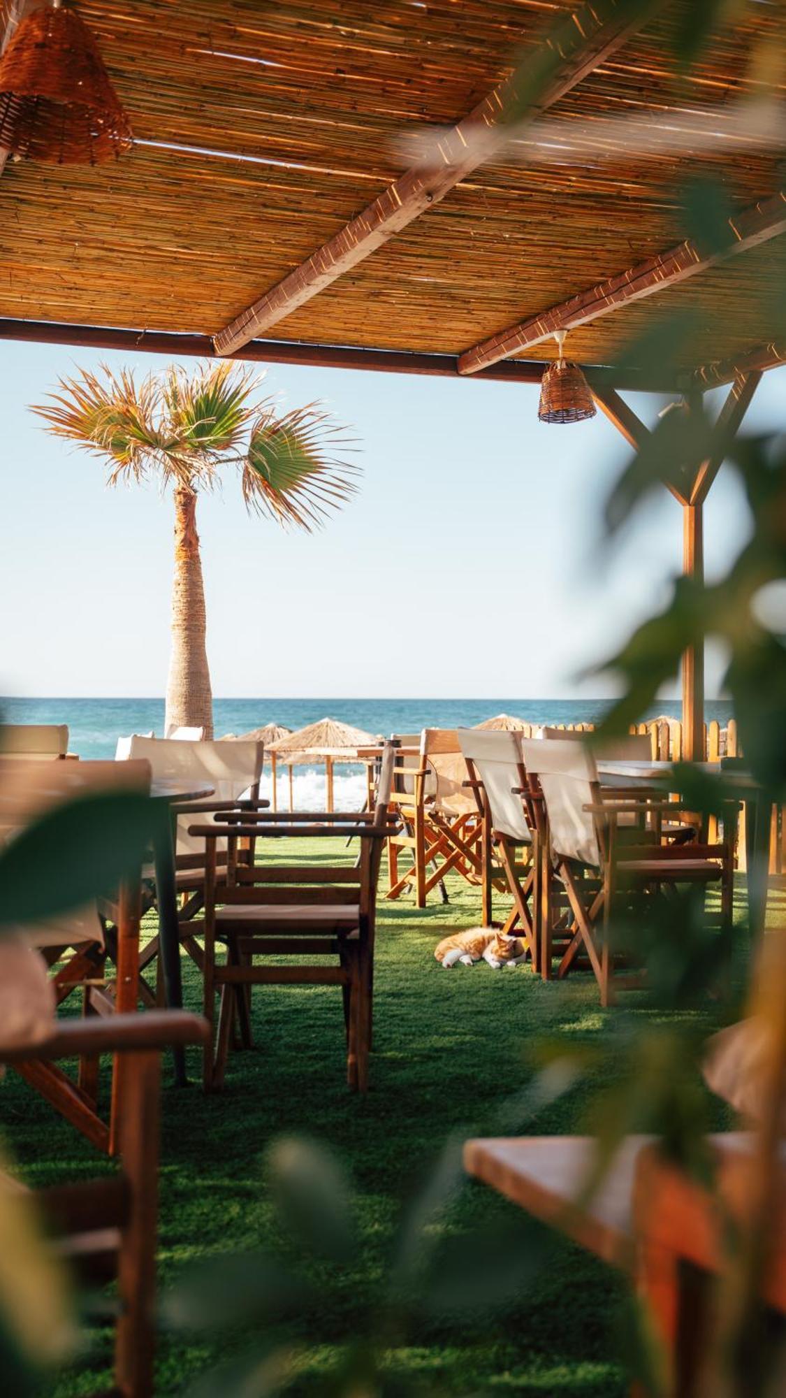 Indigo Seaside Experience Aparthotel Adelianos Kampos Exterior photo